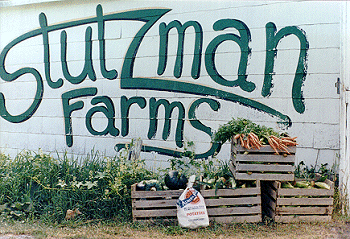 Stutzman Farms in Sangerville