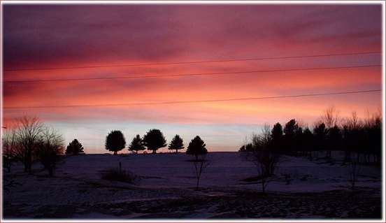 postcard