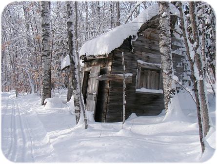 postcard