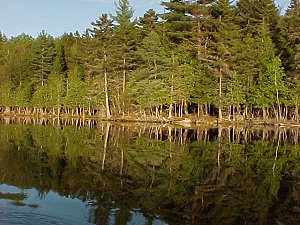 Bennett Pond