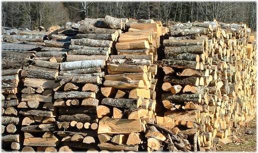 Dana's Woodpile